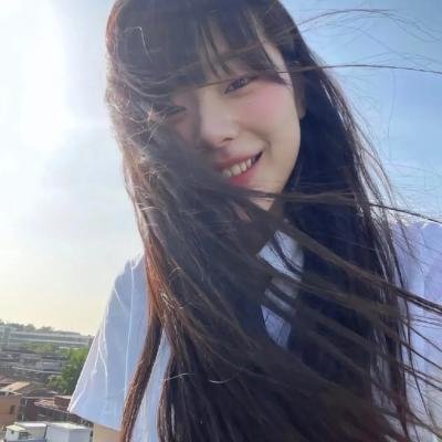 夏绿蒂的网